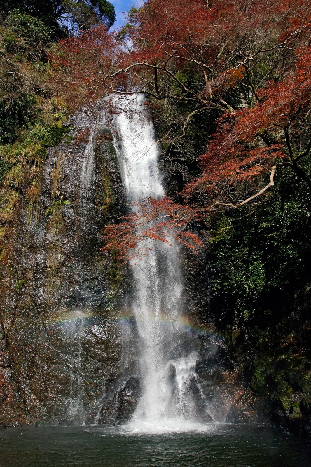 箕面大滝 — 勝尾寺後自然散步